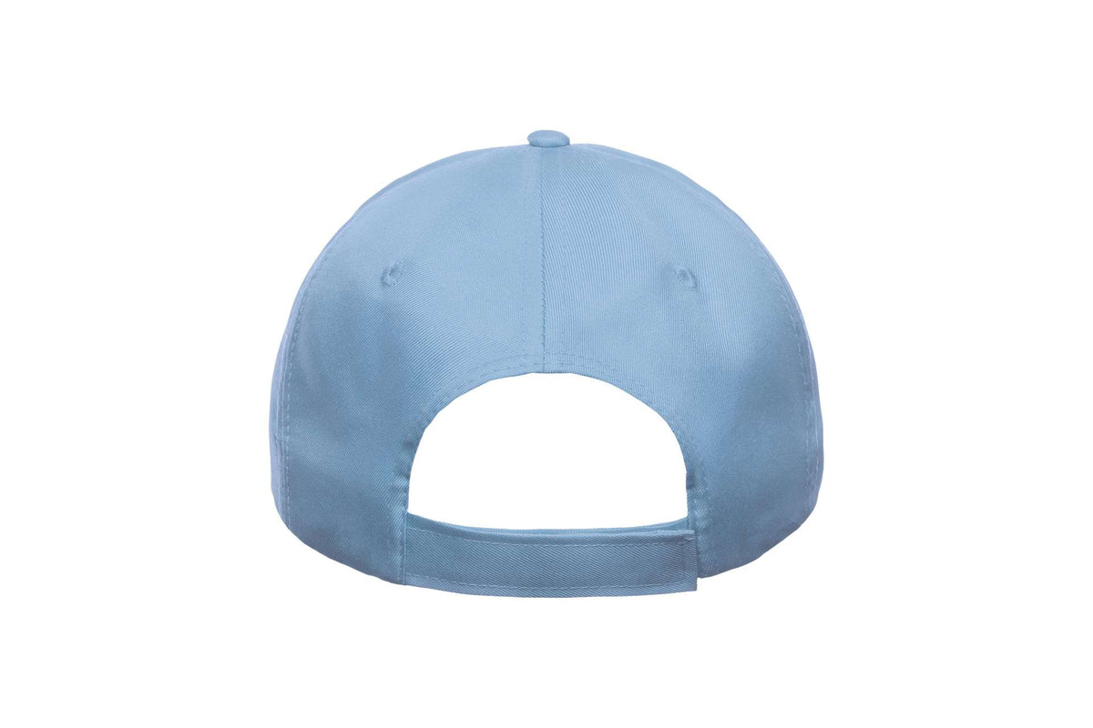 ASRECF Lt Blue
