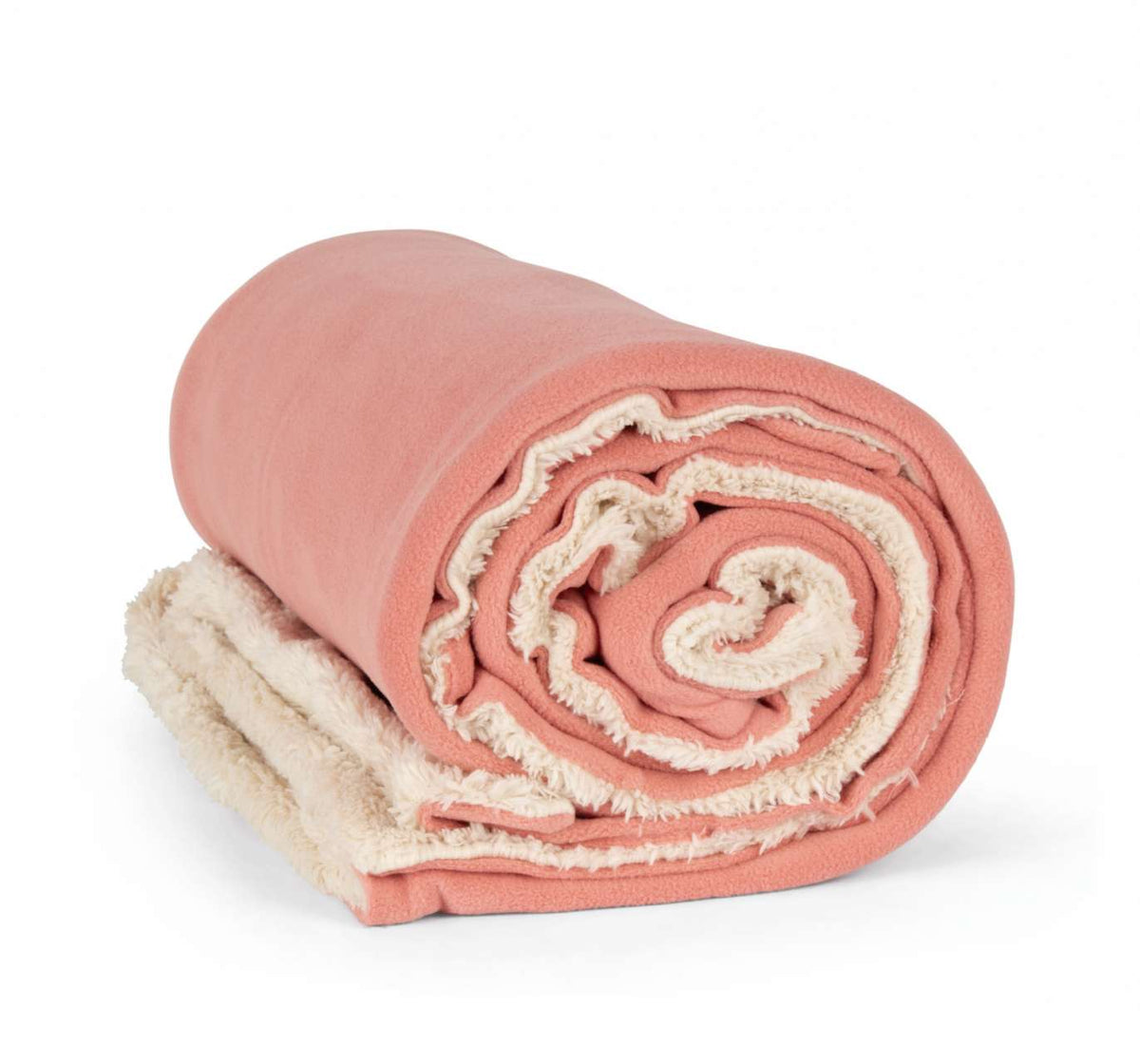 KP431 Praline Rose