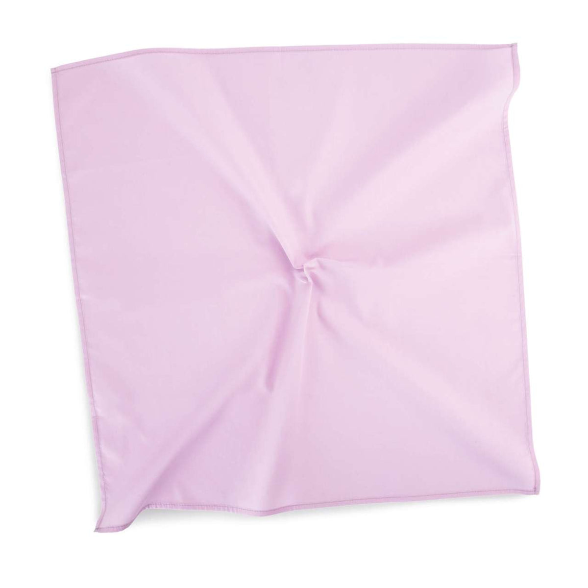 KP451 Blush Orchid