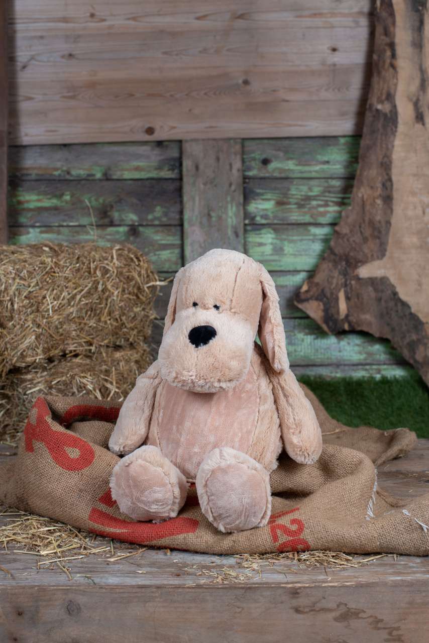 ZIPPIE DOG