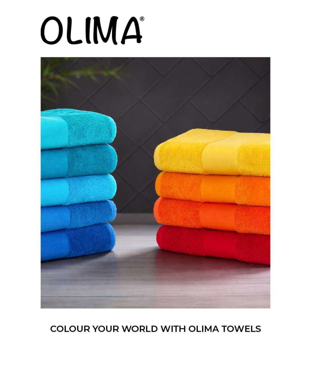 OLCAT26 Catalog