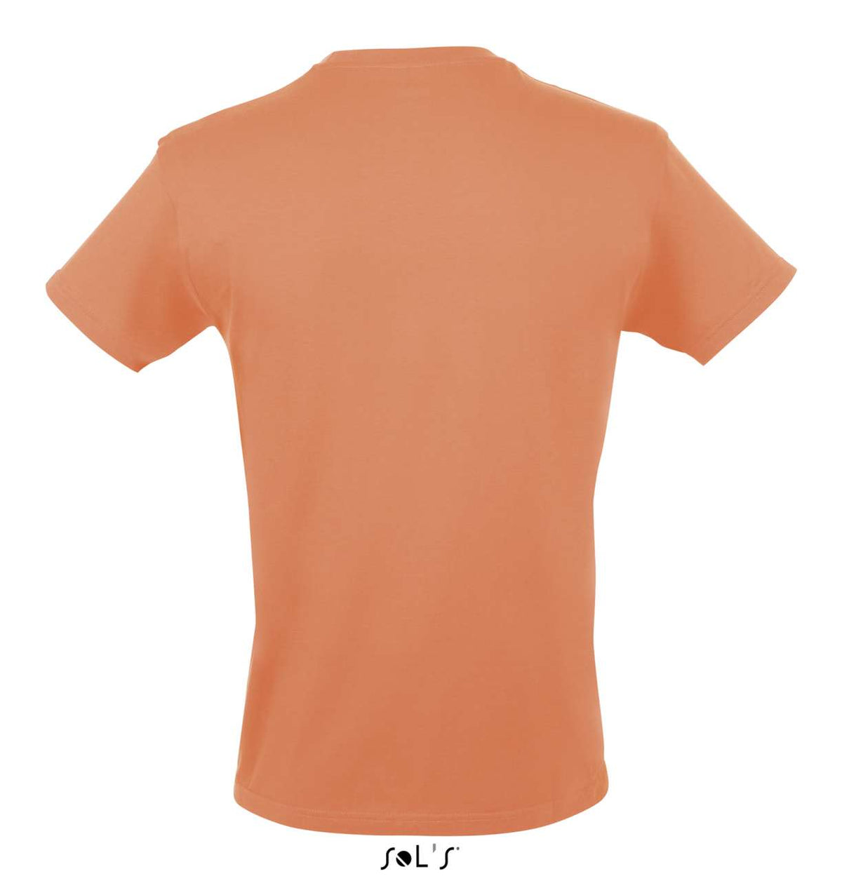 SO11380 Apricot