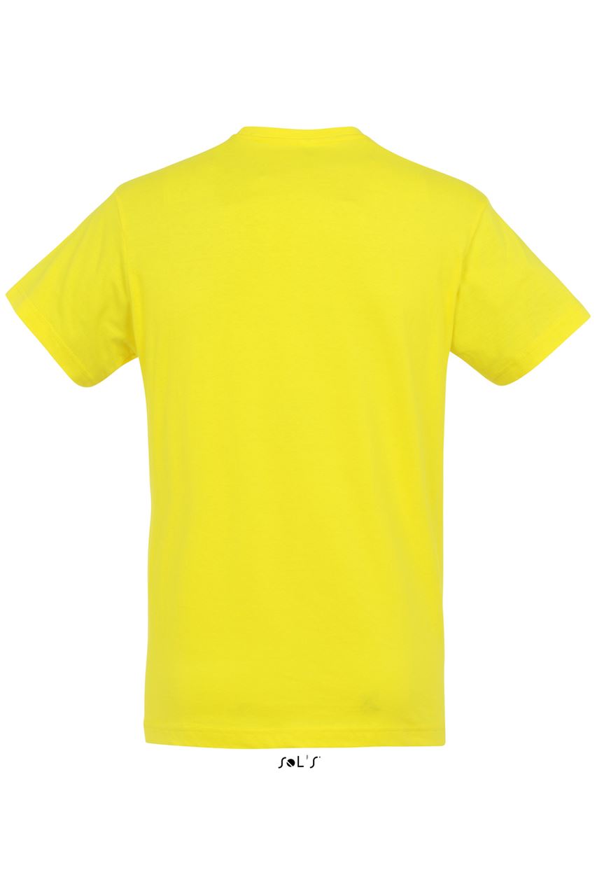 SO11380 Lemon