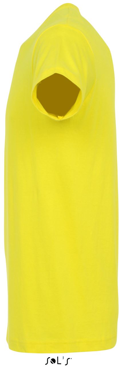 SO11380 Lemon